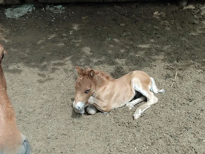 Mitchell Veterinary Clinic Picture 6