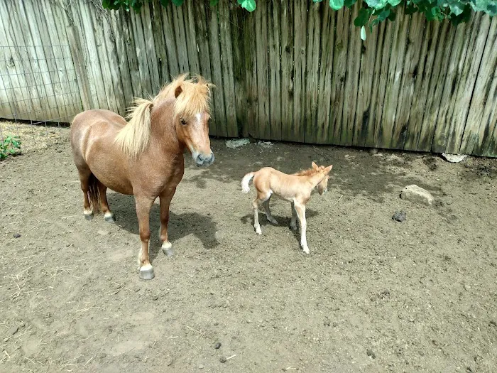 Mitchell Veterinary Clinic Picture 5