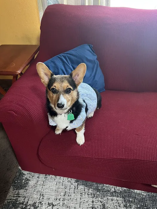 Mitchell Veterinary Clinic Picture 8