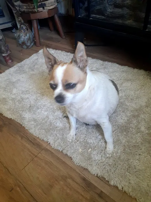 Wellsville Animal Hospital Picture 2