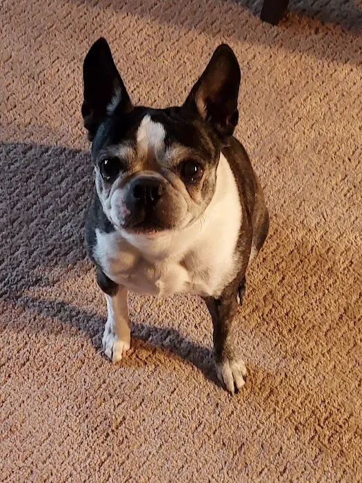 Cottonwood Animal Hospital Picture 1