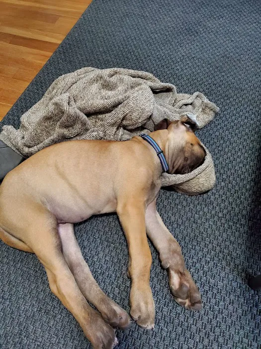 Cottonwood Animal Hospital Picture 3