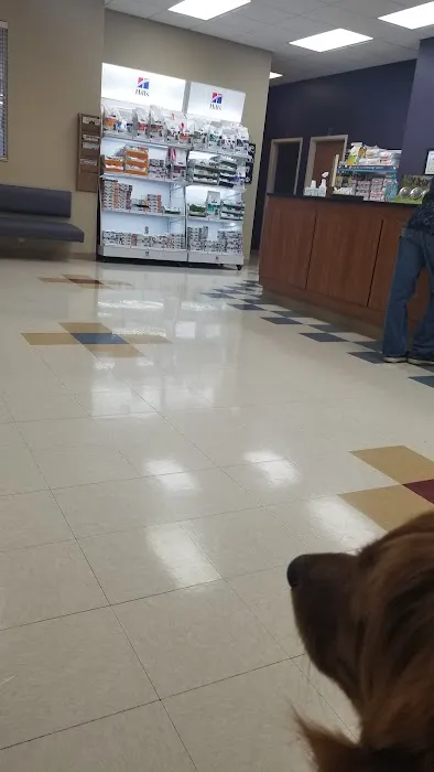 Cottonwood Animal Hospital Picture 5