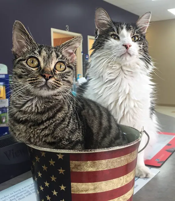 Cottonwood Animal Hospital Picture 7