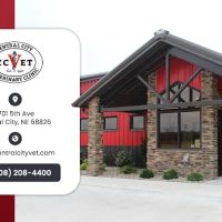 Central City Veterinary Clinic ico