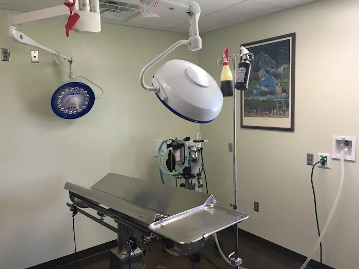 Central City Veterinary Clinic Picture 2