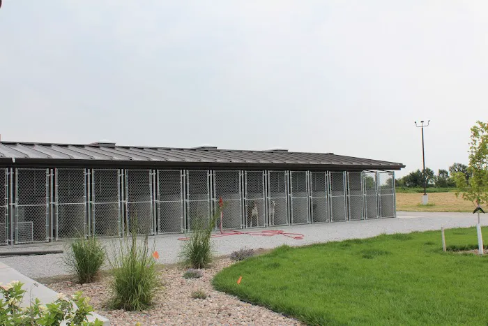 Central City Veterinary Clinic Picture 6