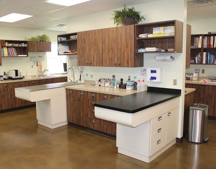 Central City Veterinary Clinic Picture 8