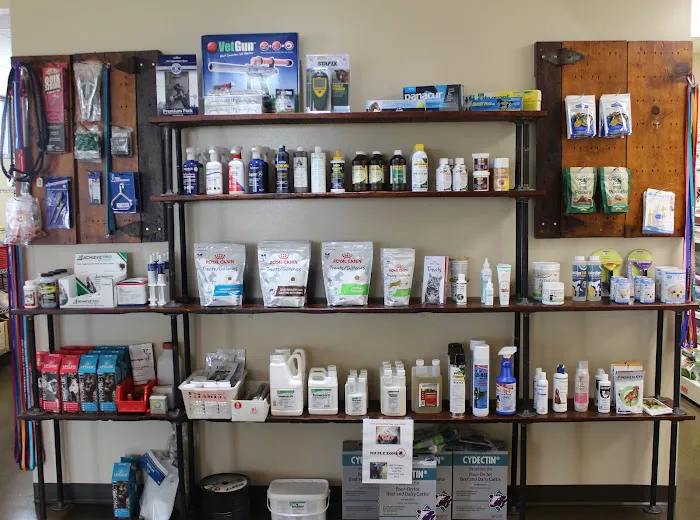 Central City Veterinary Clinic Picture 7