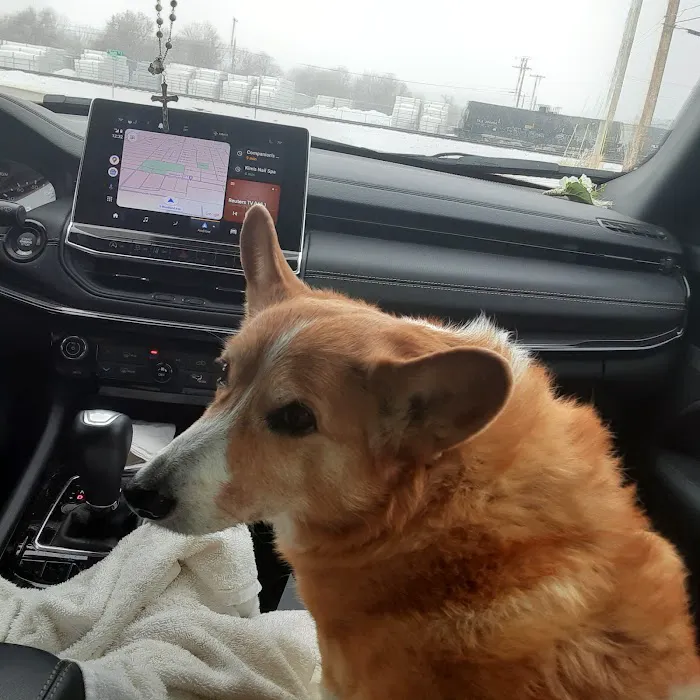 Companion's Choice Animal Hospital Picture 2