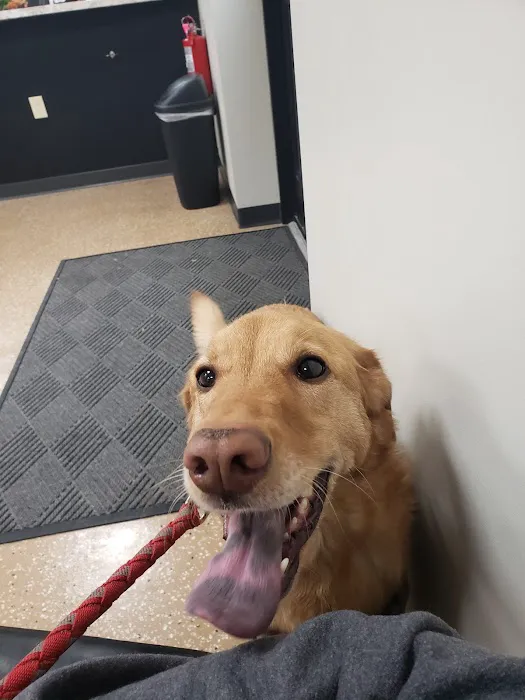 Companion's Choice Animal Hospital Picture 3