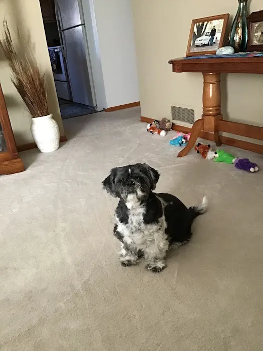 Companion's Choice Animal Hospital Picture 1