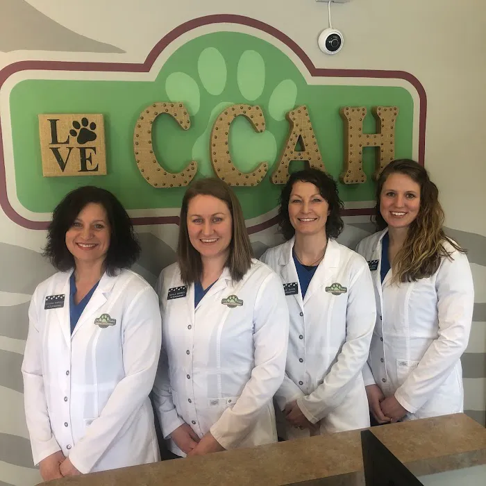 Companion's Choice Animal Hospital Picture 9