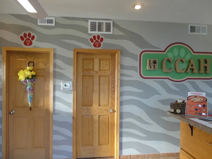 Companion's Choice Animal Hospital Picture 6