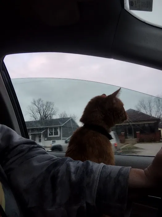 Companion's Choice Animal Hospital Picture 4