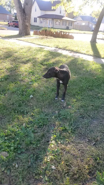 Animal Clinic of Hastings Picture 2