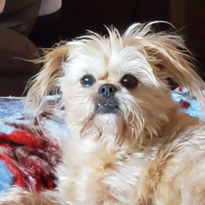 Animal Clinic of Hastings Picture 5