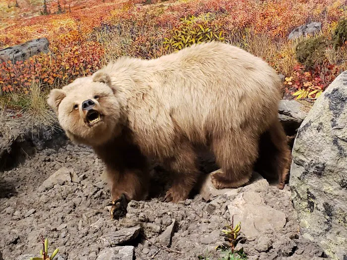 Animal Clinic of Hastings Picture 4