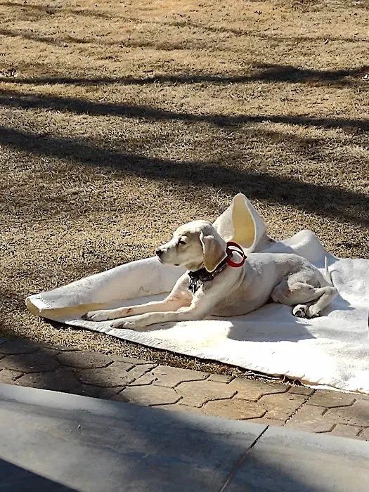 Animal Medical Clinic Picture 3