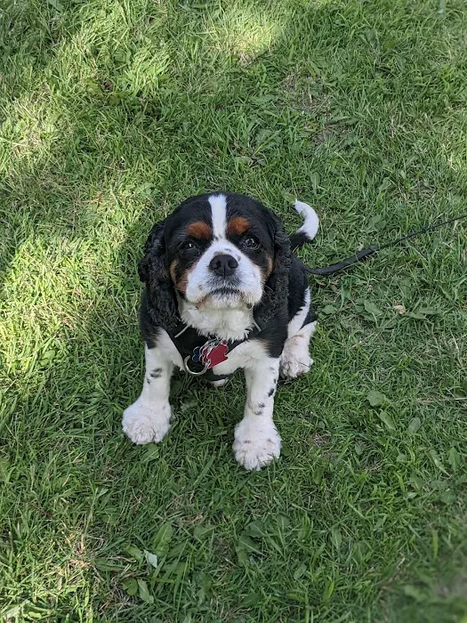 Animal Medical Clinic Picture 1