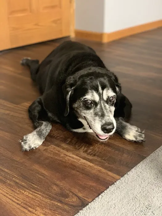 Animal Medical Clinic Picture 5