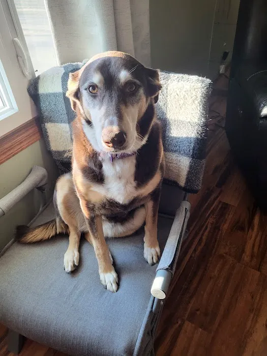 Animal Medical Clinic Picture 6