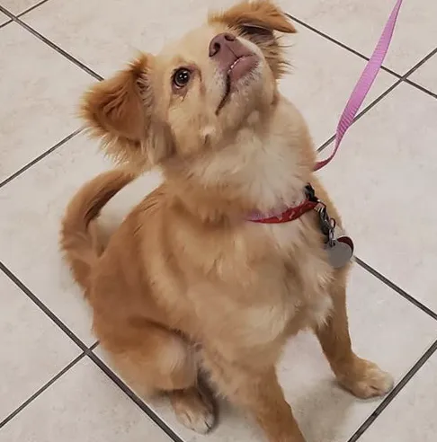 Animal Medical Clinic Picture 10