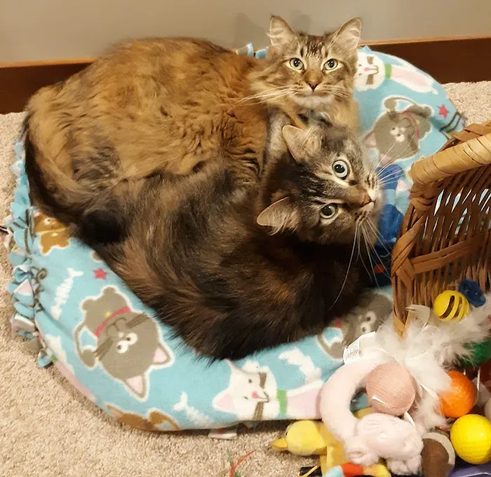 South Locust Veterinary Clinic Picture 6