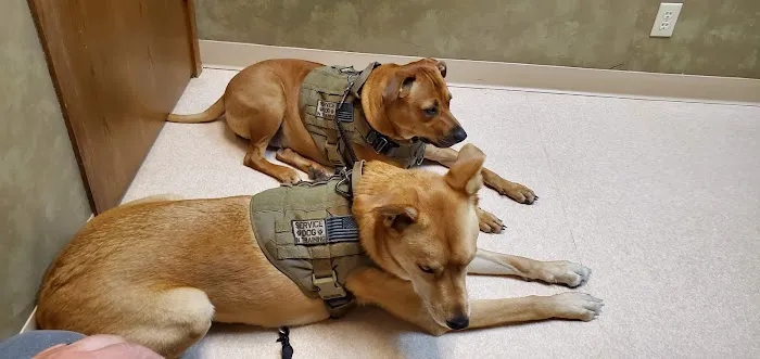 South Locust Veterinary Clinic Picture 2