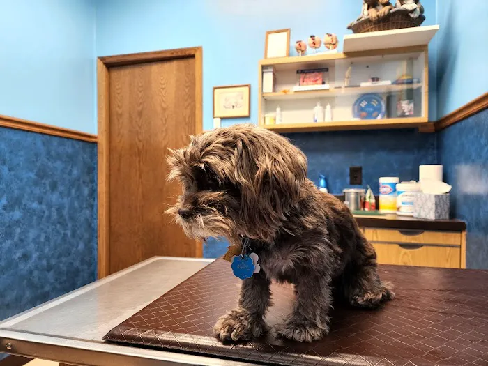 South Locust Veterinary Clinic Picture 1