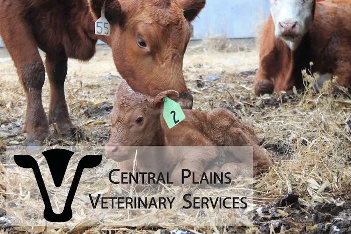 Central Plains Veterinary Services Picture 1