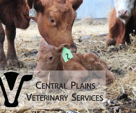 Central Plains Veterinary Services
