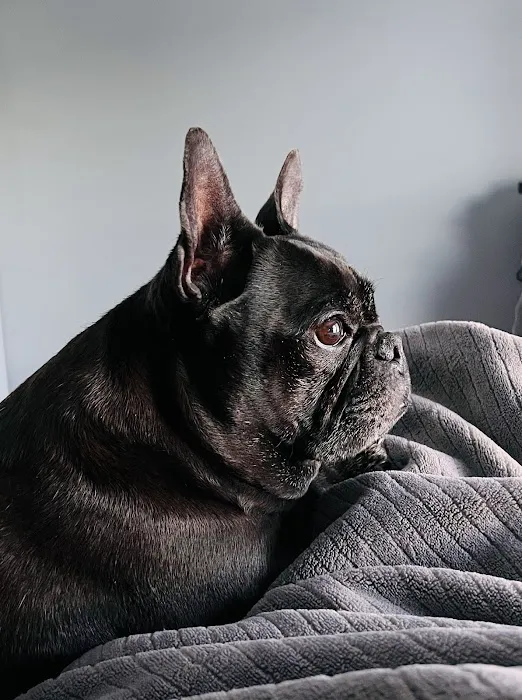 Deer Creek Veterinary Hospital Picture 1