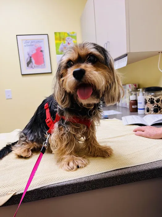 Deer Creek Veterinary Hospital Picture 2