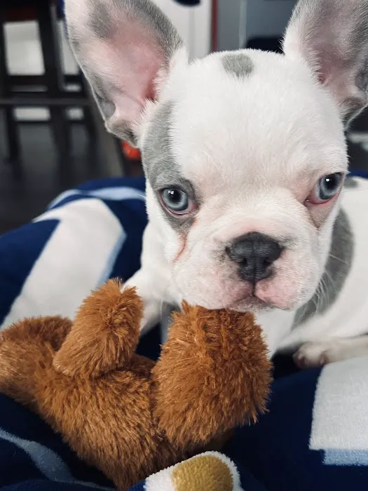 Deer Creek Veterinary Hospital Picture 4