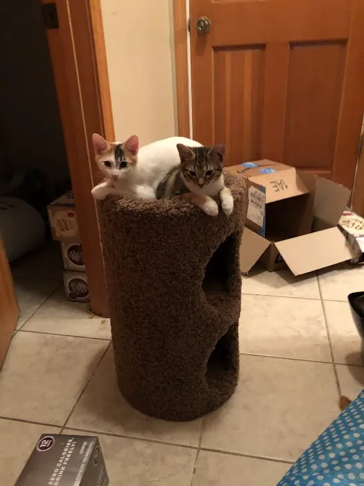 Deer Creek Veterinary Hospital Picture 6