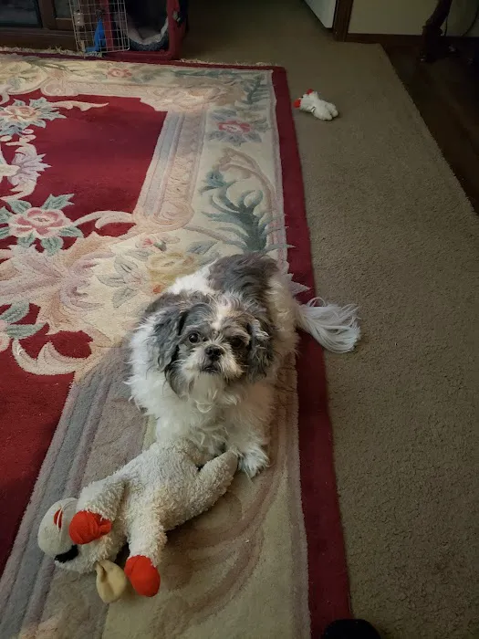 Deer Creek Veterinary Hospital Picture 9