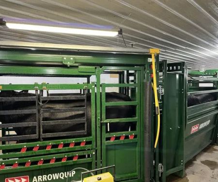 Green Valley Veterinary Service