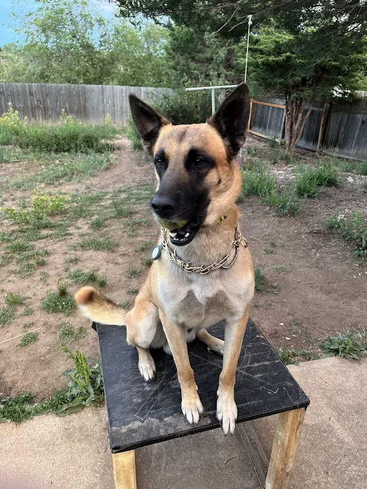 Wamego Veterinary Clinic Picture 2