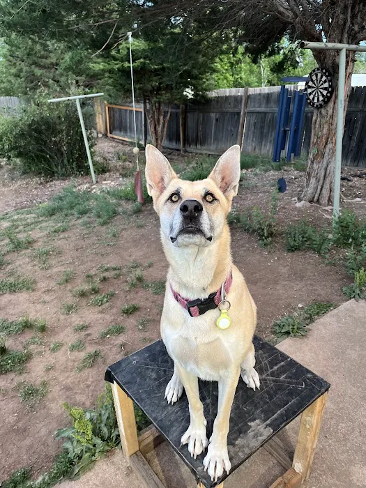 Wamego Veterinary Clinic Picture 6