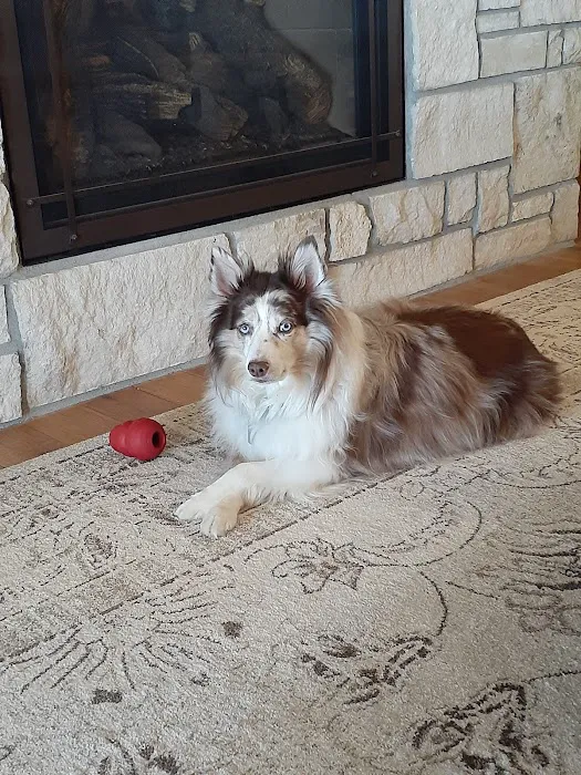 Wamego Veterinary Clinic Picture 3