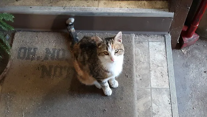 Bern-Sabetha Veterinary Clinic Picture 2