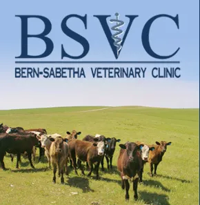 Bern-Sabetha Veterinary Clinic Picture 6