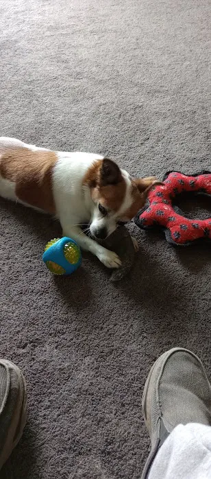 Nemaha Central Veterinary Clinic Picture 4