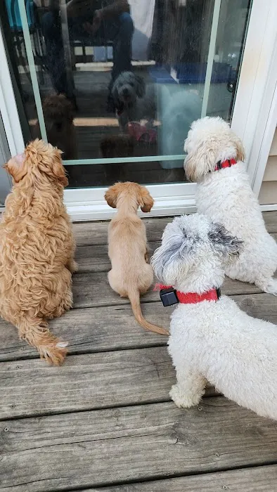 Animal Health Center Picture 3