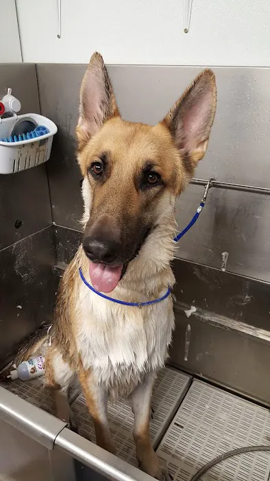 Animal Health Center Picture 1