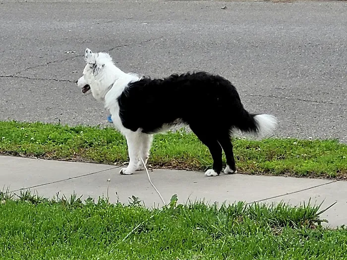 Animal Health Center Picture 2