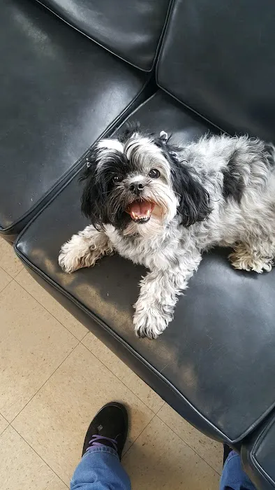 Animal Health Center Picture 6