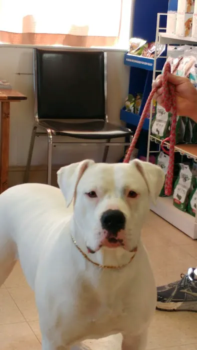 Animal Health Center Picture 4