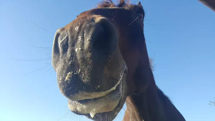 Animal Health Center Picture 5